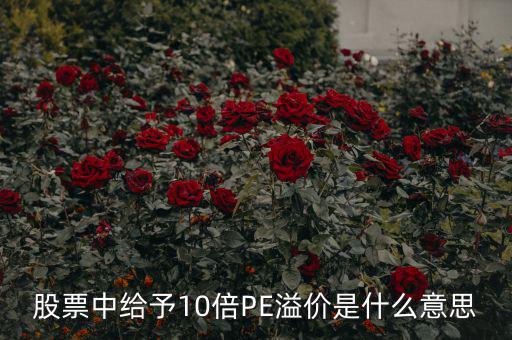 股票10倍市盈率什么意思，買10倍市盈率上下的大盤股什么意思