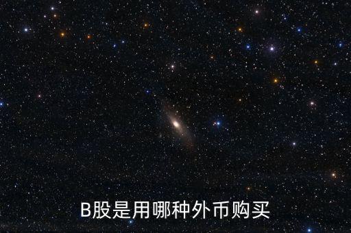 b股分紅支付什么貨幣，B股是用哪種外幣購買