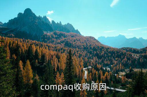泰一指尚為什么被收購，compaq收購原因
