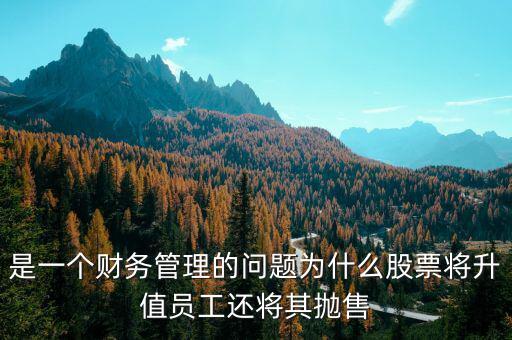 為什么要拋售股票，是一個(gè)財(cái)務(wù)管理的問題為什么股票將升值員工還將其拋售