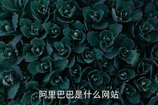 阿里巴巴是什么網(wǎng)站，阿里巴巴是什么網(wǎng)站