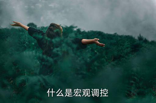 宏觀調控的定義是什么，怎么理解宏觀調控