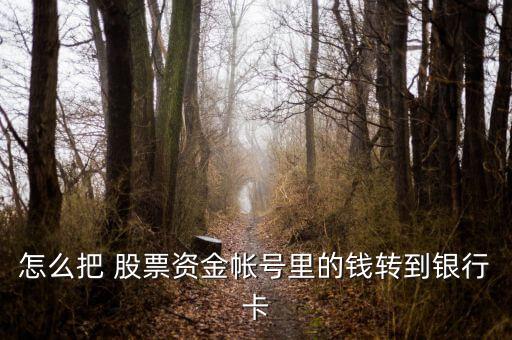 怎么把 股票資金帳號里的錢轉到銀行卡