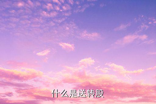 什么是送轉股