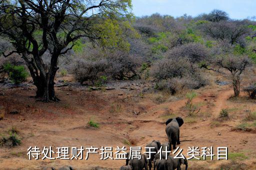 待財(cái)產(chǎn)處理損益是什么類科目，待處理財(cái)產(chǎn)損益屬于哪一類科目