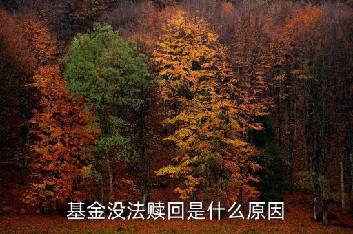 為什么基金不能贖回，為什么我的基金不能贖回