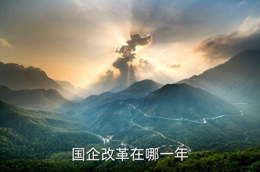 國企改革什么時候開盤，國有企業(yè)改革是什么時候