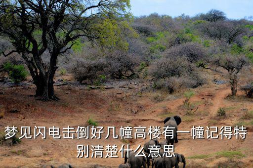 什么是閃電崩盤，a mini flash crash什么意思