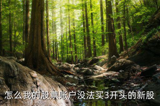 3開頭的股票為什么不能買，請問新開戶的股民為什么不能買3字開頭的股票