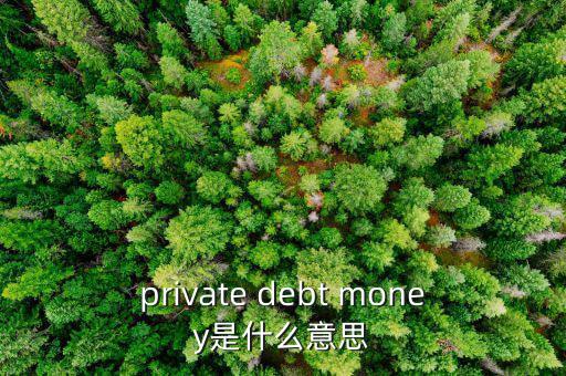 私人配售什么意思，private debt placement是什么意思啊
