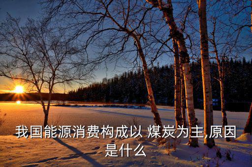 我國(guó)能源消費(fèi)構(gòu)成以 煤炭為主,原因是什么
