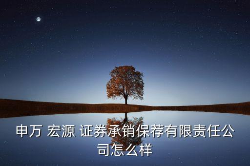 申萬(wàn) 宏源 證券承銷(xiāo)保薦有限責(zé)任公司怎么樣