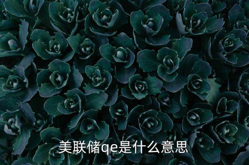美國(guó)為什么要qe，美聯(lián)儲(chǔ)qe是什么意思