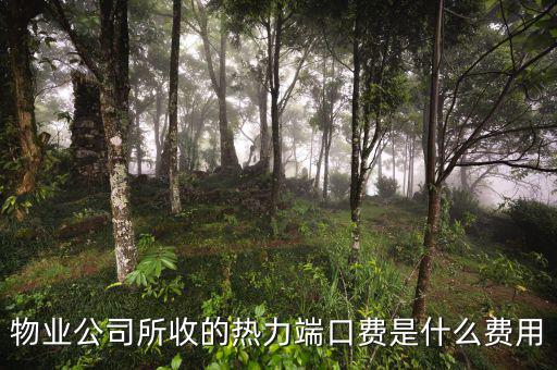 什么是端口費(fèi)，現(xiàn)在電信包月網(wǎng)線得多少錢(qián)還有那端口費(fèi)是什么意思