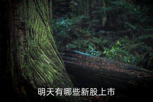 明天什么股票上市，明天有哪些新股上市