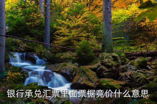 票據(jù)網(wǎng)交易是什么意思，中國票據(jù)網(wǎng)httpwwwzgpjwcom中的票據(jù)轉貼直貼買入直貼賣出