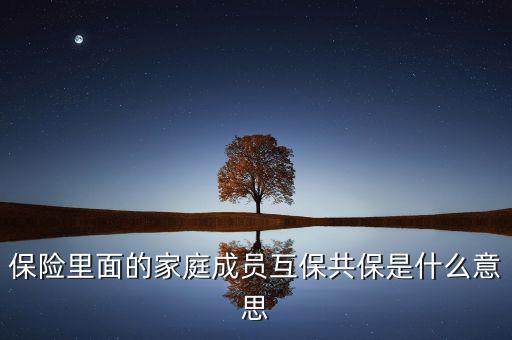 什么是共同被保險(xiǎn)人，保險(xiǎn)里面的家庭成員互保共保是什么意思