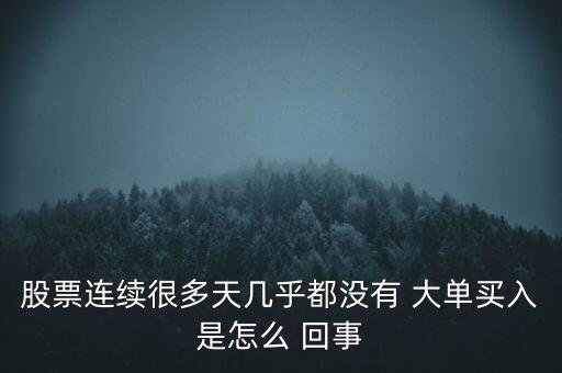 股票連續(xù)很多天幾乎都沒(méi)有 大單買(mǎi)入是怎么 回事