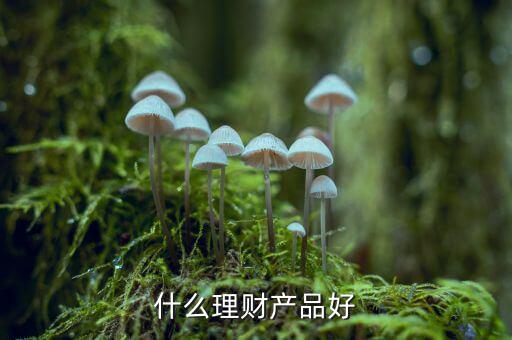 什么理財產品好