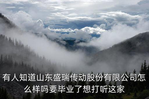 盛瑞企業(yè)是干什么的，南京銳盛互聯(lián)網(wǎng)科技有限公司主要是做什么的