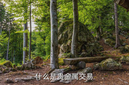 貴金屬交易是什么，什么是貴金屬交易