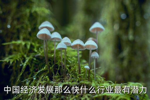 未來中國(guó)經(jīng)濟(jì)什么行業(yè)可以，中國(guó)經(jīng)濟(jì)發(fā)展那么快什么行業(yè)最有潛力