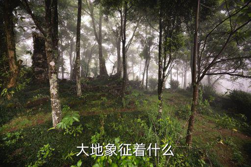 高地價象征什么，大地象征著什么