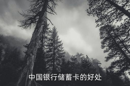 中國(guó)銀行存蓄卡有什么好處，中國(guó)銀行儲(chǔ)蓄卡的好處