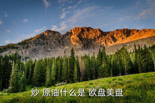 原油怎么分亞盤(pán)歐盤(pán),期貨公司也允許開(kāi)立a原油期貨賬戶(hù)