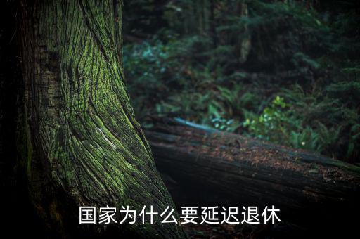 為什么要延遲退休，為什么要推遲退休年齡