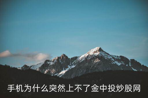 為什么不能用金航線炒股，中航證券的金航線手機版為什么不能申購新股