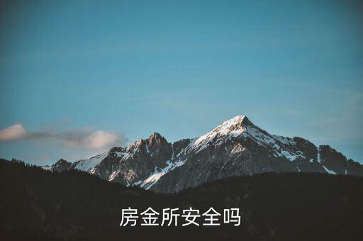 房金所平臺背景是什么，房總管金融有了解他是什么背景的嗎目前做公寓資金遇到了一些問題