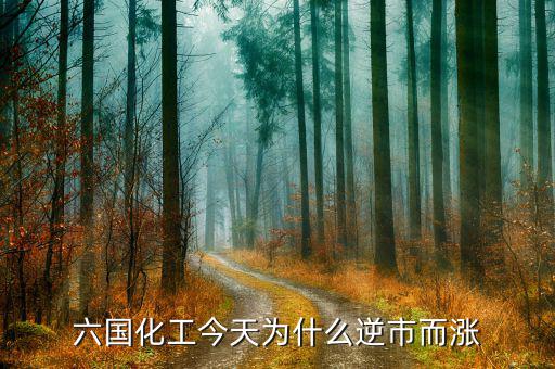六國(guó)化工有什么概念，六國(guó)化工和六國(guó)化肥是一個(gè)意思嗎