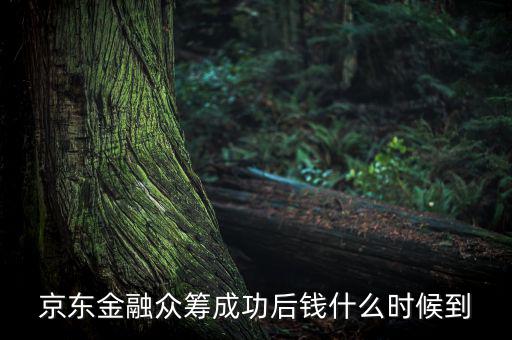 京東金融活動什么時候結束，金條的活動什么時候結束啊