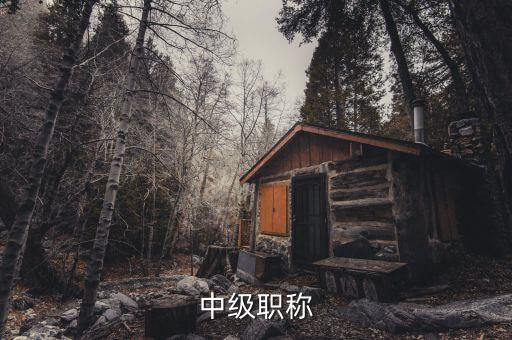 中級(jí)職稱(chēng)