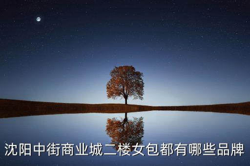 中街商業(yè)城都有什么品牌，沈陽中街商業(yè)城二樓女包都有哪些品牌