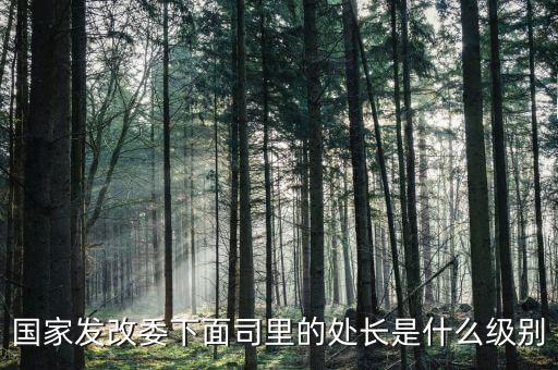 央企處長是什么級(jí)別，央企比如移動(dòng) 電信 聯(lián)通 中石油石化 這些企業(yè)縣的老總是什么級(jí)別