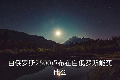 白俄羅斯盧布50可以買什么，白俄羅斯2500盧布在白俄羅斯能買什么