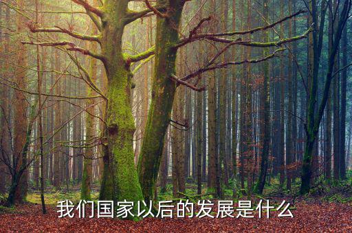 國家下一步發(fā)展是什么，我國經(jīng)濟下一步的發(fā)展方向是什么領域