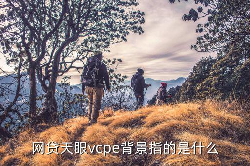 什么是投資背景，投資背景什么意思
