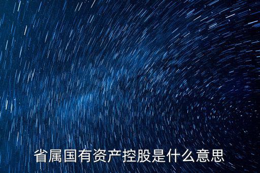 國(guó)資控股什么意思，國(guó)有資金投資占控股是什么意思
