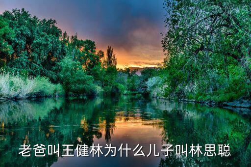 王健林和王思聰是什么關(guān)系，老爸叫王健林為什么兒子叫林思聰