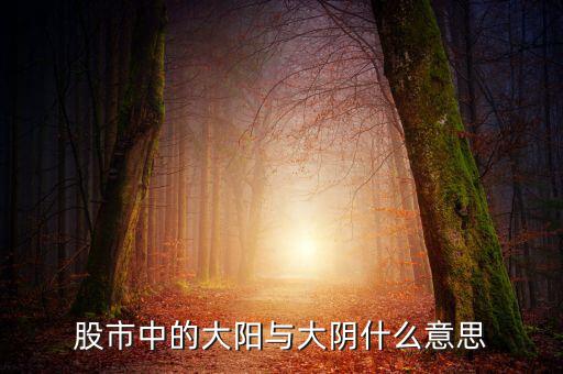 股票大陽(yáng)是什么意思，股市中的大陽(yáng)與大陰什么意思
