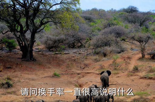 換手率持續(xù)高說(shuō)明什么，新股換手率高說(shuō)明什么