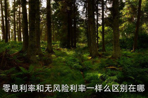 即期利率是什么，定期的利息和國(guó)期的利息是什么