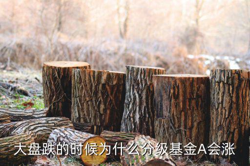 大盤跌的時(shí)候?yàn)槭裁捶旨壔餉會漲