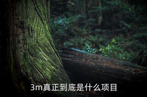 3m靠什么盈利，fifa online 3m玩家怎么賺錢
