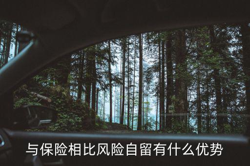 什么是風(fēng)險(xiǎn)自留，股票里有個(gè)自留的專(zhuān)業(yè)用語(yǔ)是什么意思