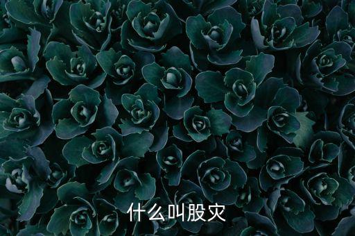 股災(zāi)逃脫人叫什么，做了壞事倉皇而逃的人叫什么