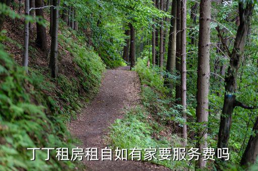 丁丁租房都收取什么費用，丁丁租琴的費用怎么算